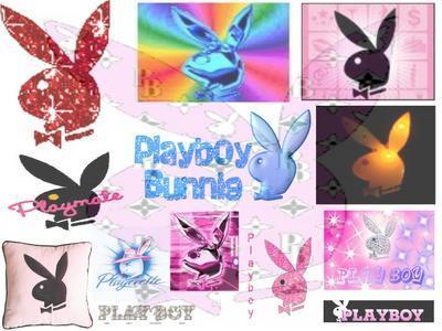 playboy bunny
